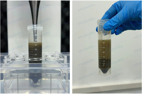 1745896532870228.png image.png